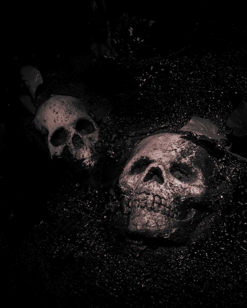 Kersey Valley Attractions Spooky Woods skulls